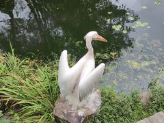 -红山森林动物园