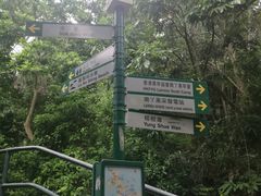 -南丫岛