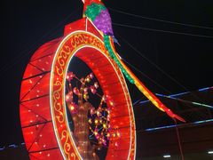 -南宫五洲植物乐园