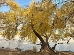 -上海交通大学(闵行校区)