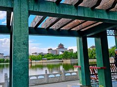 -莲花池公园