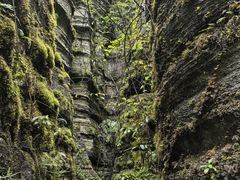 -梭布垭石林景区