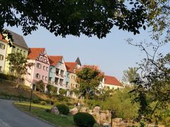 -大塘金香草谷