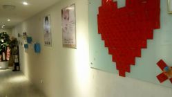 -净妍美肌专业净毛嫩肤连锁机构