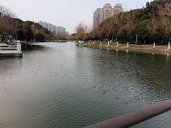 -天鹅湖体育公园