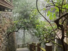 -藏龙百瀑风景区