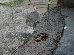 -洛阳白云山景区