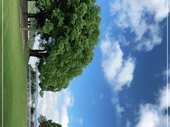 -上海月湖雕塑公园