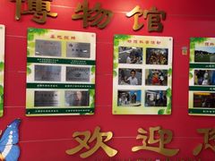 -上海昆虫博物馆