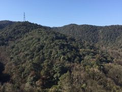 -六和塔文化公园
