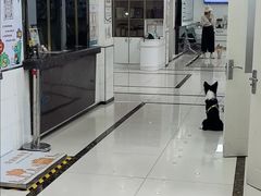 -派美特宠物医院·核磁CT·骨科肿瘤·疑难转诊(沈农禾丰店)