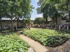 -绍兴鲁迅故里·沈园景区