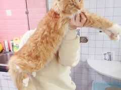 -十年猫舍·猫咪专门店(普陀店)
