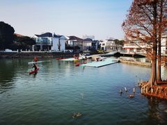 -高子水居
