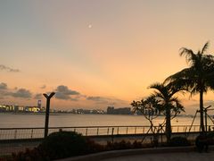 -源·咖啡自助餐厅·海鲜·烧烤·三文鱼(海口华彩洲际酒店)