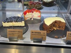 -Wagas沃歌斯(汇智店)