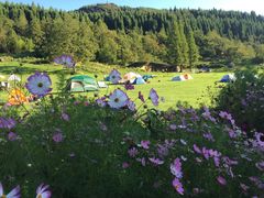 -武陵山森林公园