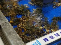 -盒马鲜生(顺义店)