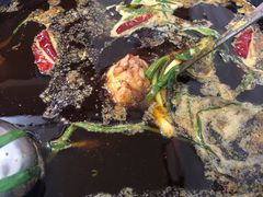 -石灰市毛记烧鸡公(解放碑店)