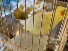 -潇湘·永州会馆(百子湾店)