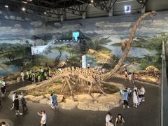-自贡恐龙博物馆
