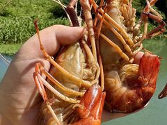 -欢乐蟹庄·精品农家乐(阳澄湖莲花岛店)