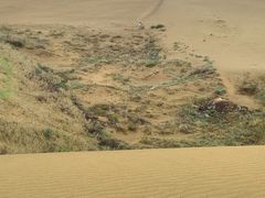 -达拉特旗响沙湾旅游区