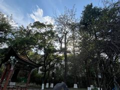 -云南师范大学(一二一西南联大校区)