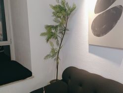 -小梨·OndaPro·专业脱毛连锁机构