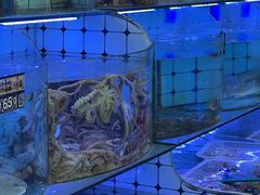 -日照大牌檔•小船海鲜(万平口店)