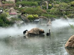 -罗红摄影艺术馆