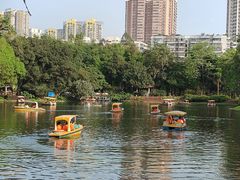 -晓港公园