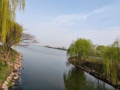 -漕湖湿地公园