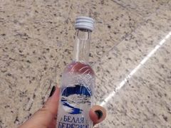 -谢列梅捷沃国际机场