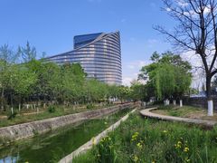-花之城