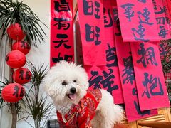 -小意思咖啡店(草桥店)