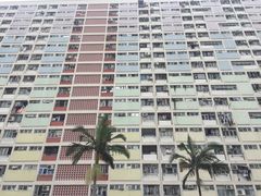 -彩虹村