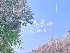 -民园广场