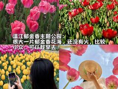 -老鼎万春卤菜(五代传承创始老店)