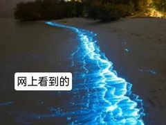 -西涌国际滨海旅游区