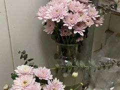 -溪岸路花鸟市场
