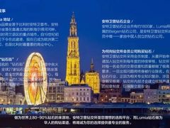 -利美钻石(比利时钻石交易所店)