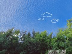 -洛阳白云山景区