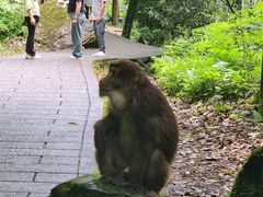 -西岭雪山大飞水景区