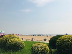 -东疆理想海岸沙滩景区