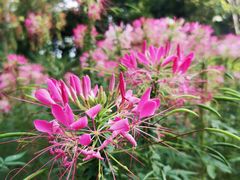 -人民公园(罗湖区)