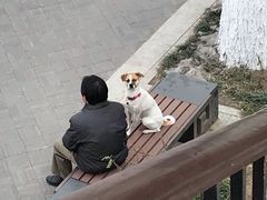 -德胜公园