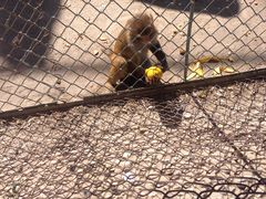 -新疆天山野生动物园