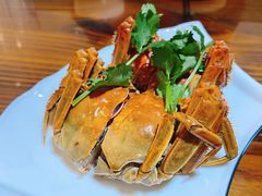 -呼吸森林·生态农庄农家乐私房菜