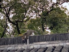 -天一阁博物院